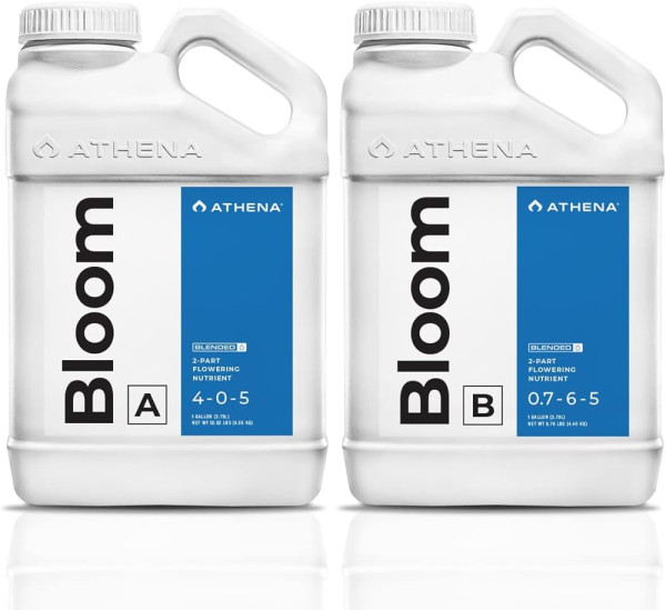 Athena Bloom A & B, 946 ml, Blüte