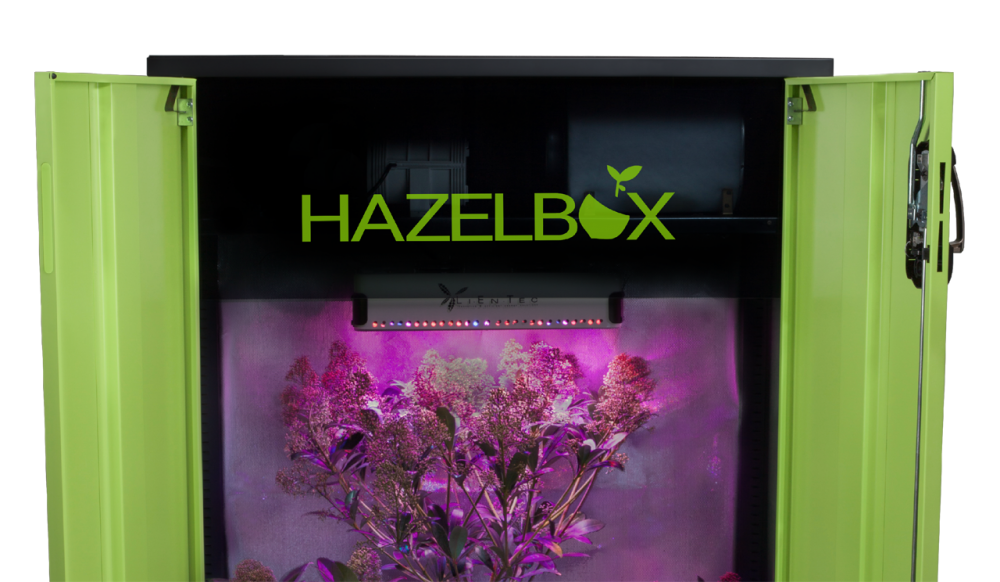 boxのみ 28769_600x600@2x.png