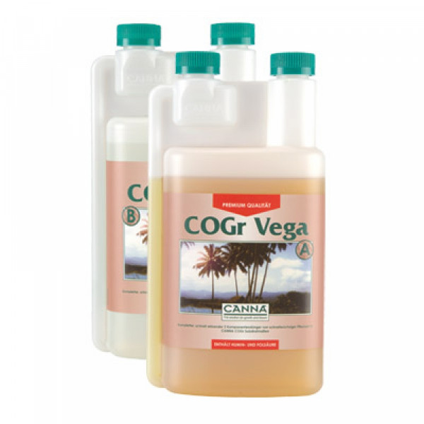 Canna Cogr Vega 1L, Wachstum