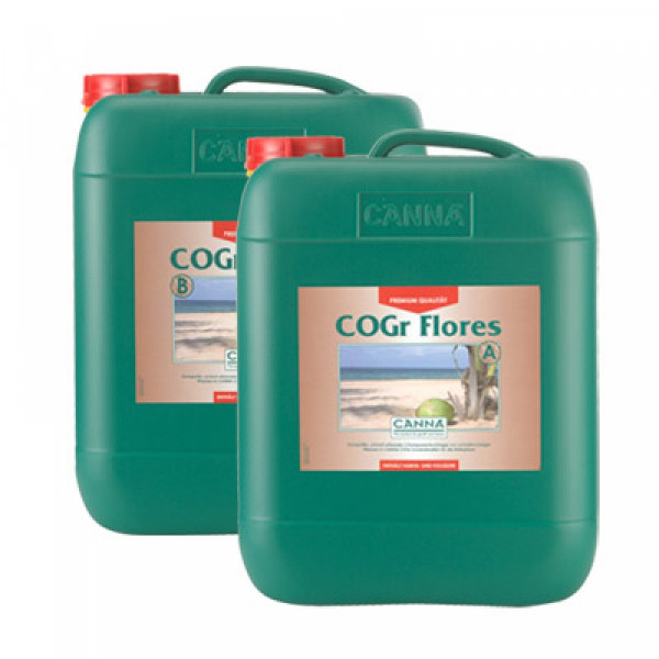 Canna Cogr flores 10L, Blüte