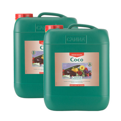 Canna Coco 10L, Wuchs / Blüte