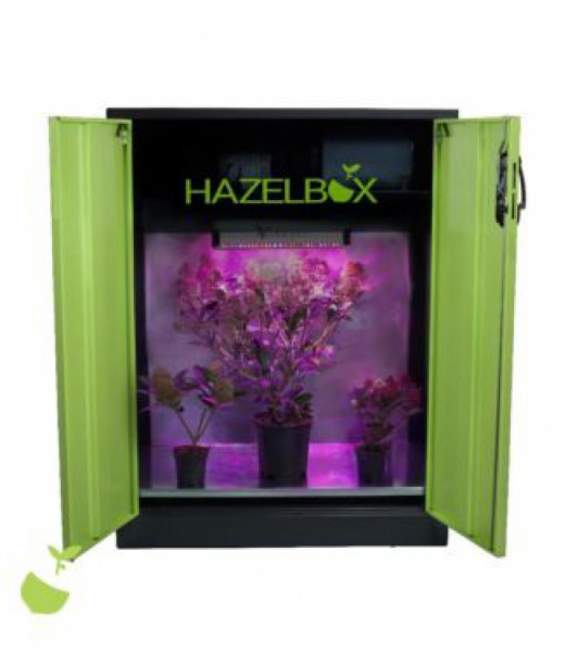 Hazelbox Compact 120cm, LED Growschrank