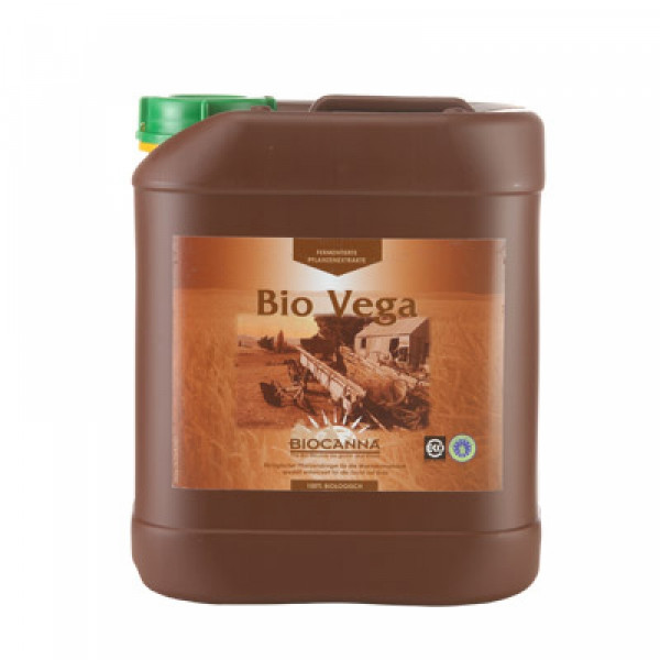 Canna Bio Vega 5L, Wachstum