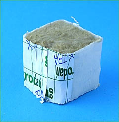 Grodan Miniblock (4x4 cm), 15 stk.