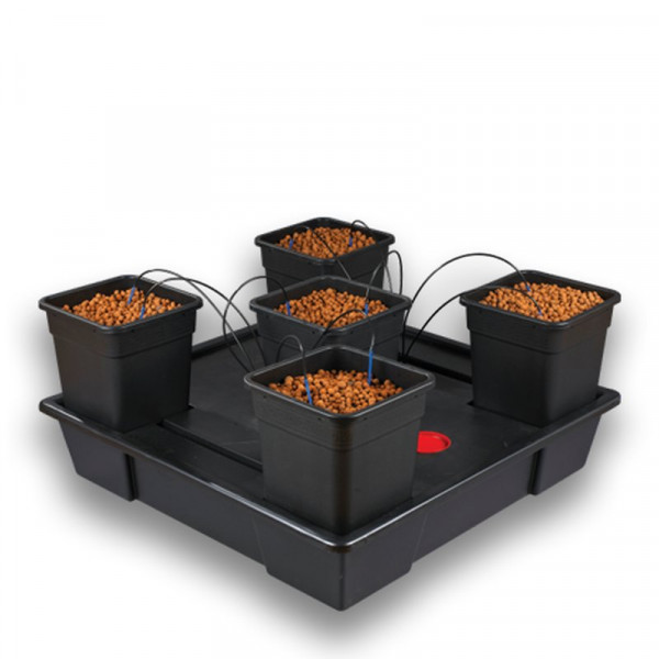 Atami Wilma System XXL 5 Pflanzen 25L Topf