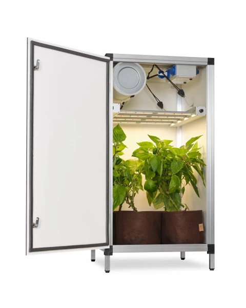 Bonanza Mini-Growbox (0,35m2) mit G-Bars 170 W LED