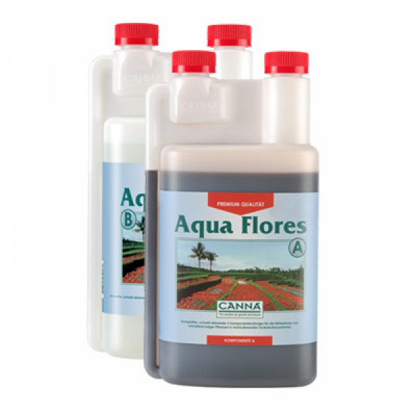 Canna Aqua Flores 1L, Blüte